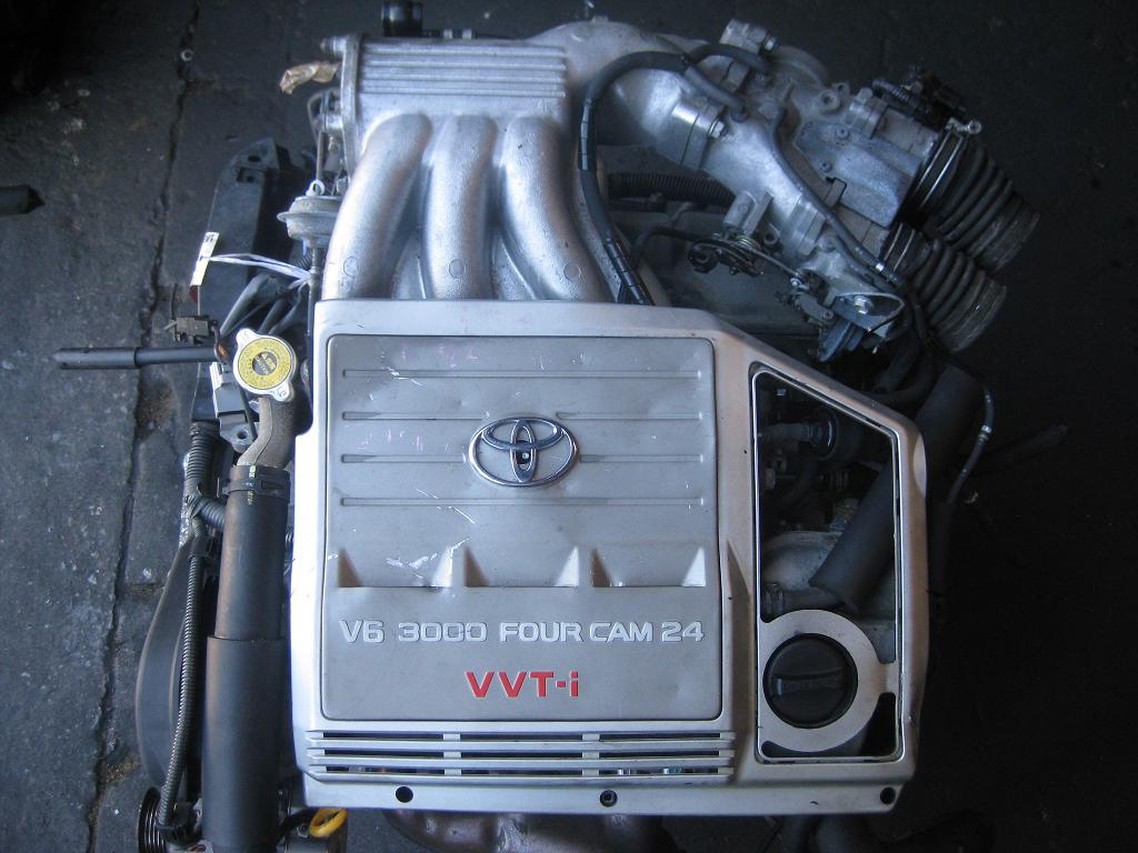 buy auto parts online
