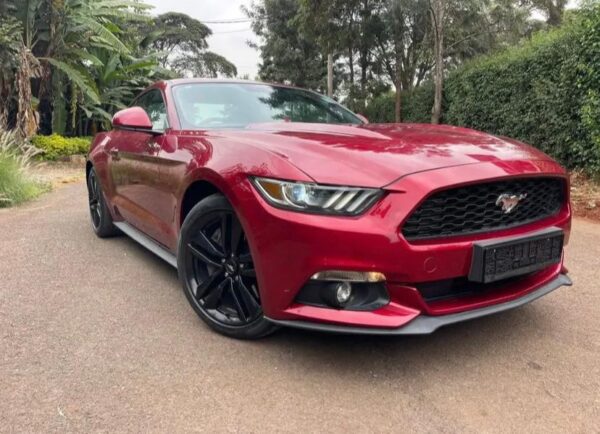 Used Ford Mustang