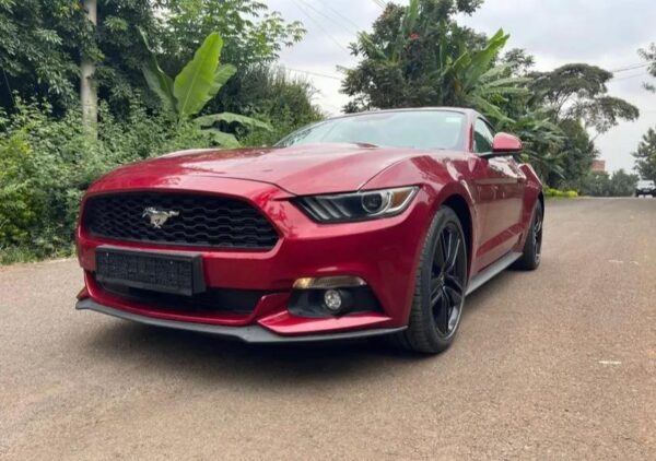 Used Ford Mustang