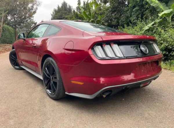Used Ford Mustang