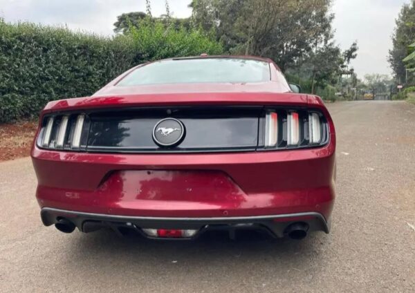 Used Ford Mustang