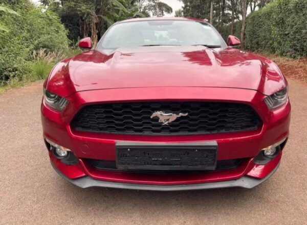 Used Ford Mustang